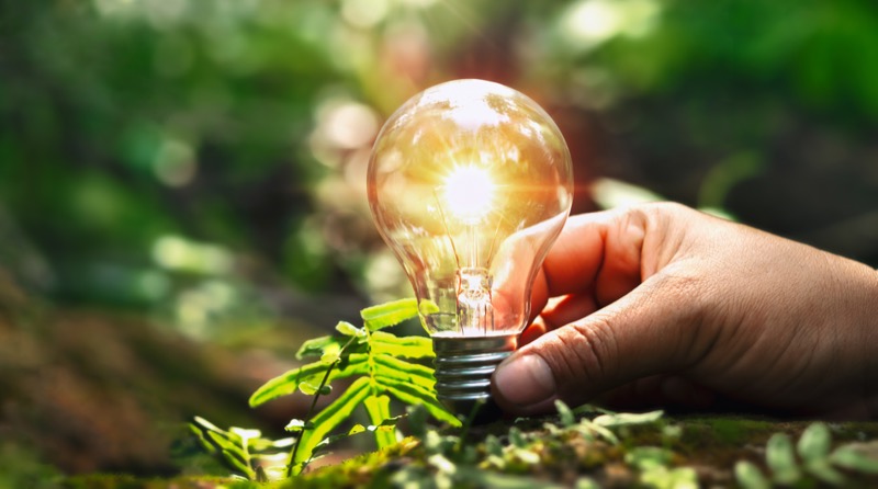 Energiemanagement per App überwachen